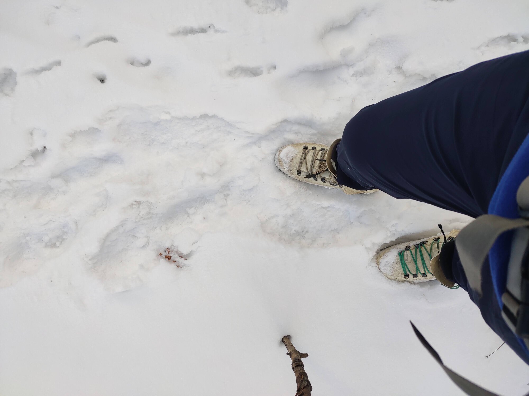Snow boots are finally at their job!