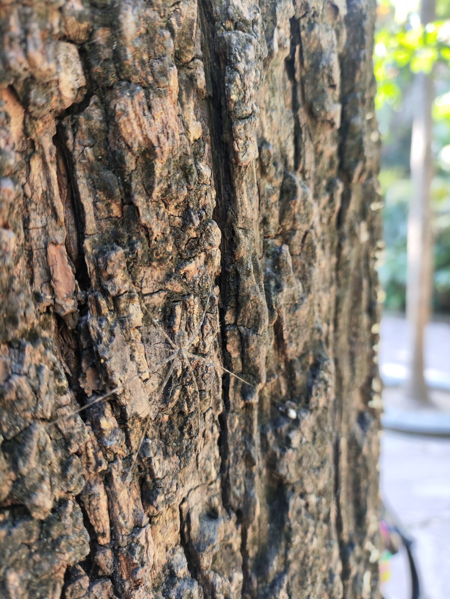 Rough, raw & beautiful