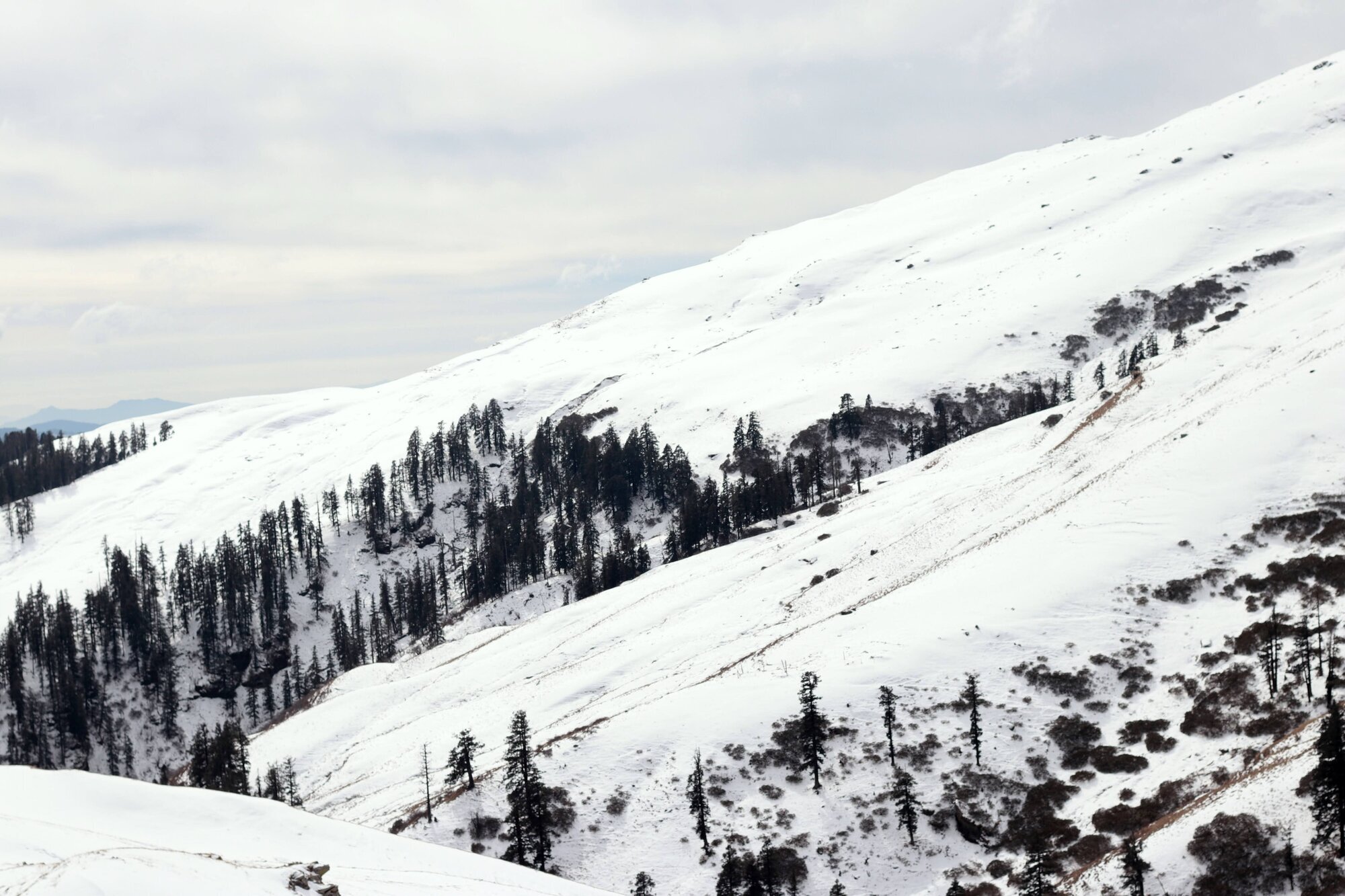 Do you want to see some more snow?