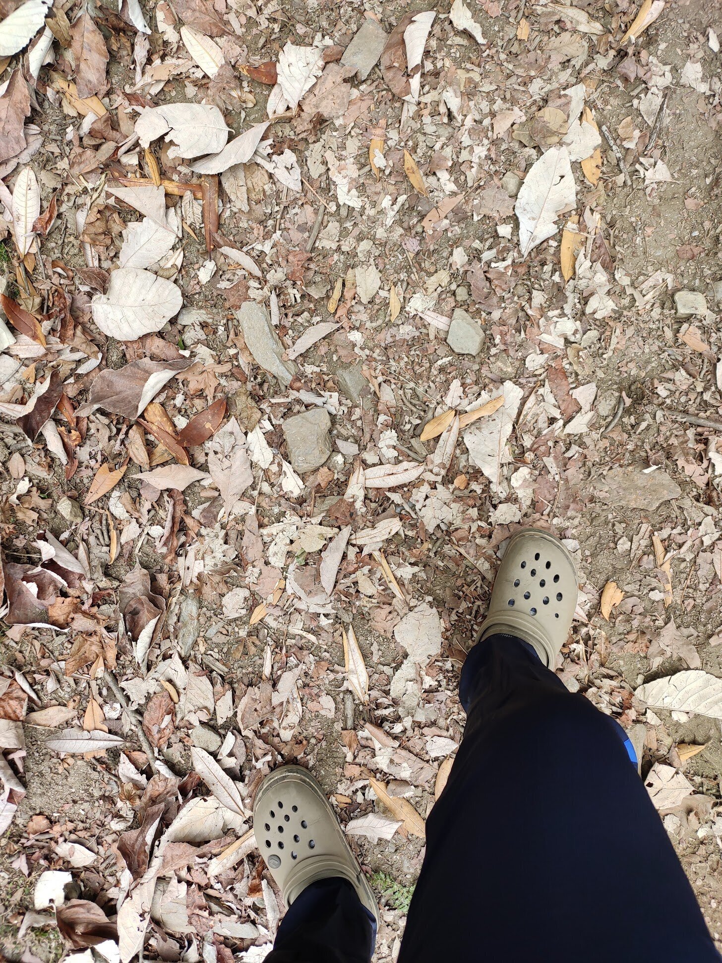 Crocs and mountains! Of course we do that here ;)