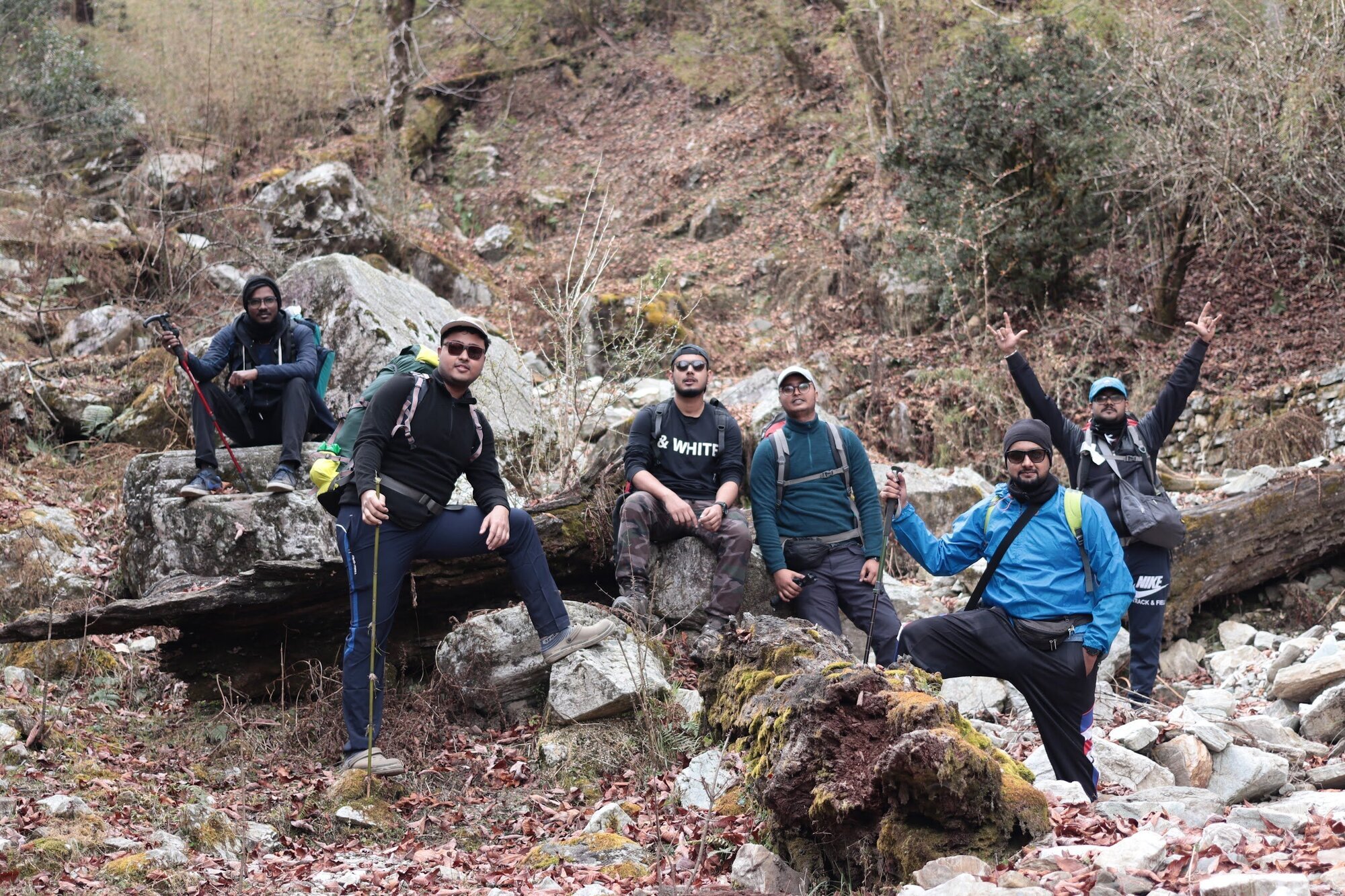 Broken tree trunks x streams!